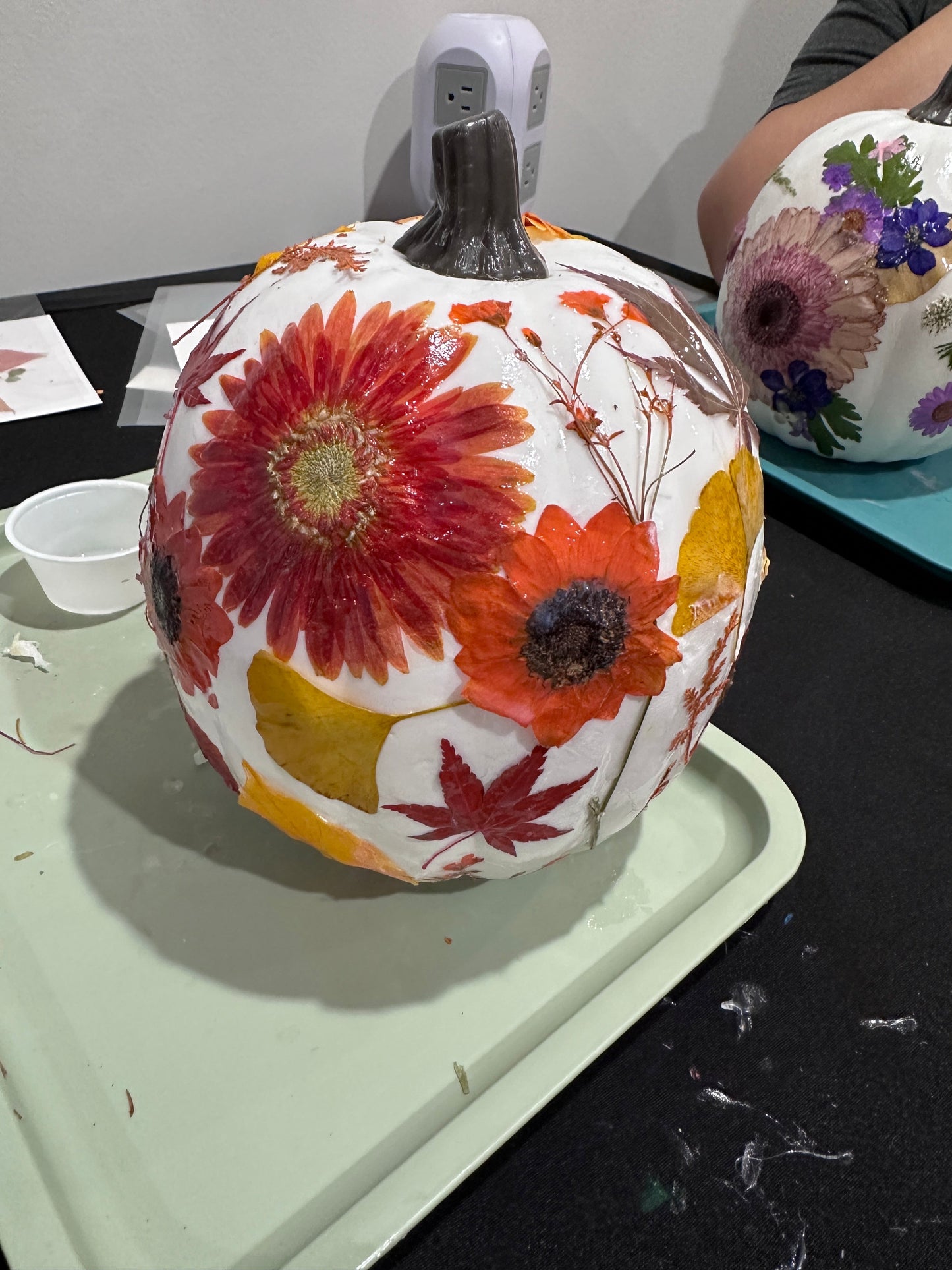 Pressed Flower Pumpkins 10/3/25
