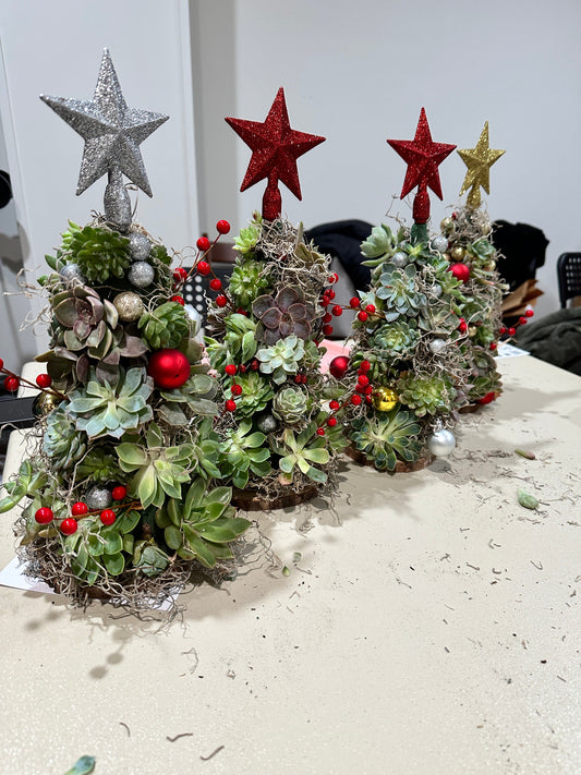 Succulent Christmas Trees with Wandering Roots at Devil's Due Distillery 12/6/26