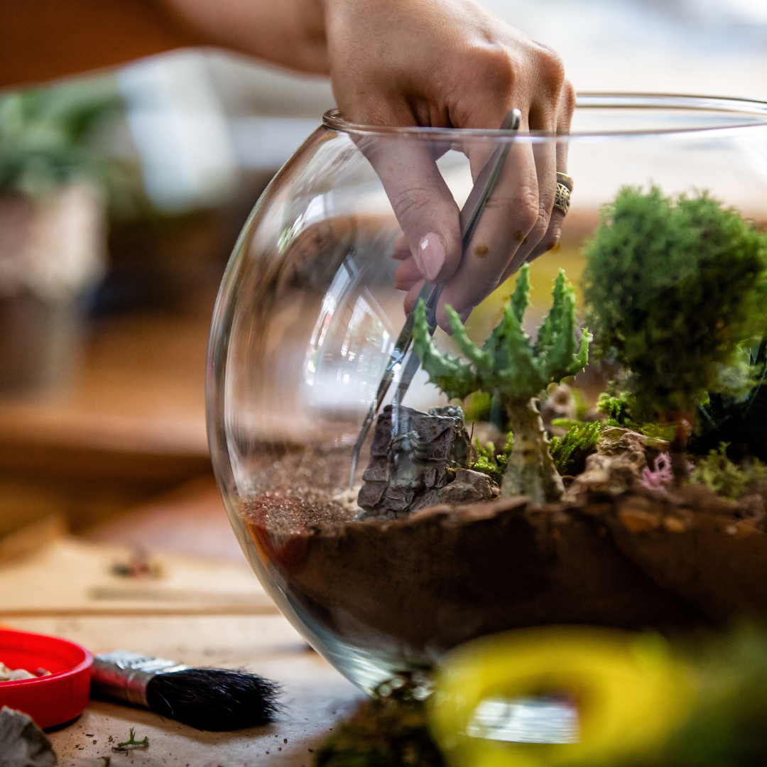 Build your own terrarium at Dirt Farm Brewery