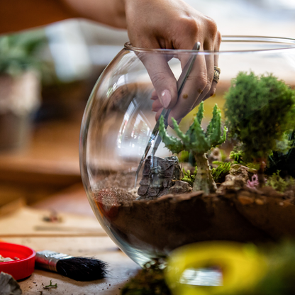 Build your own terrarium drop in event