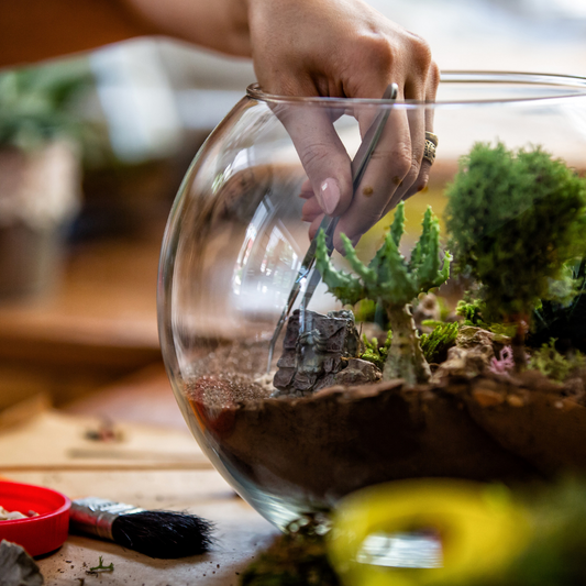 Build your own terrarium at Dirt Farm Brewery