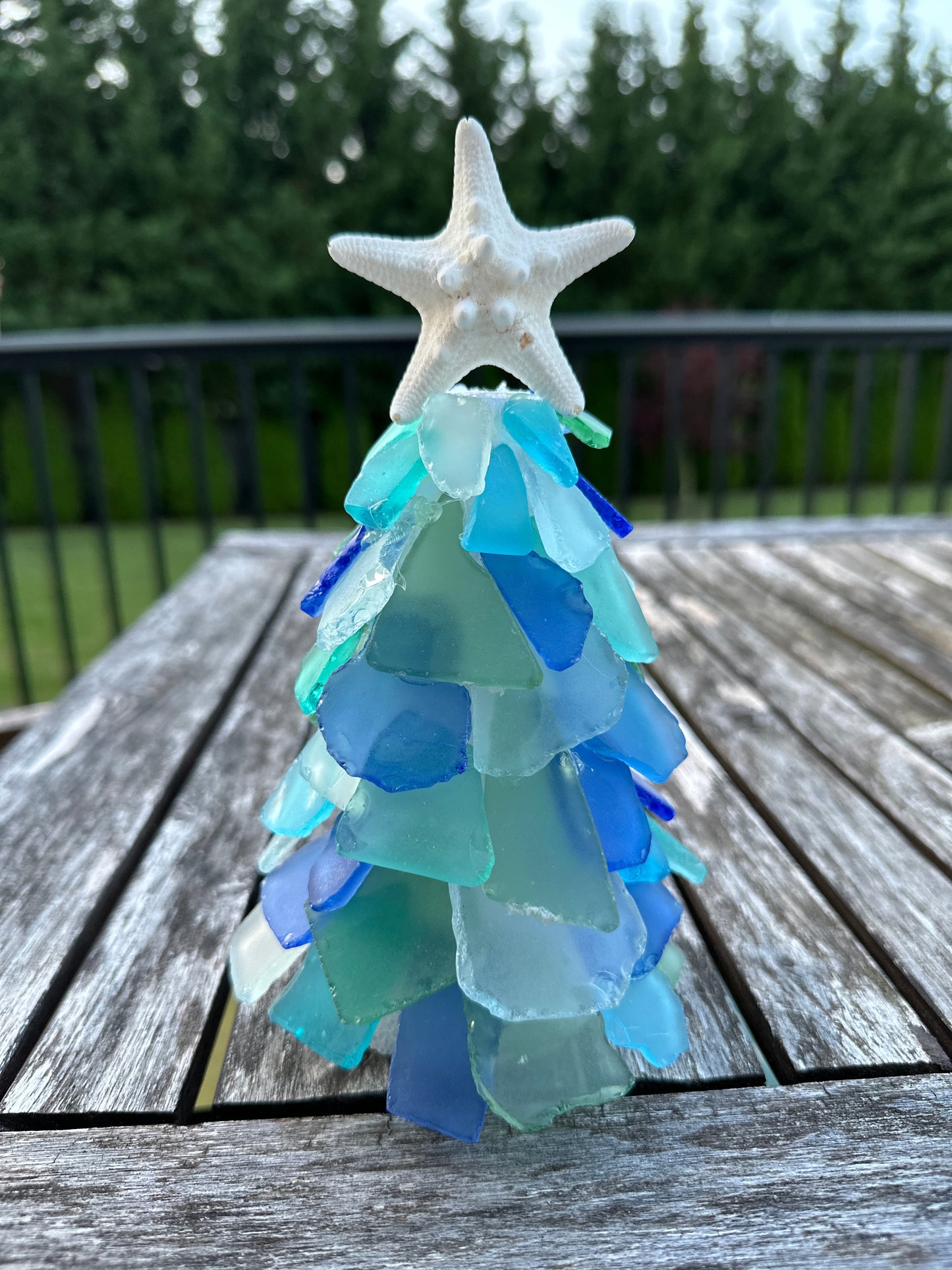 Sea Glass Succulents and Trees 7/18/24