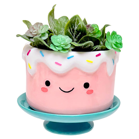 Cake Footsie Planter